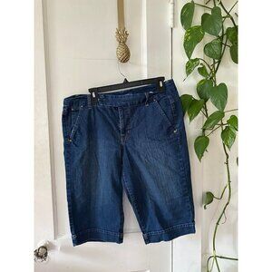 Bandolinoblu men’s size 12 capri pants